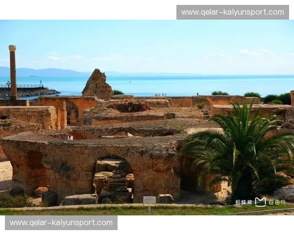 迦太基之魂遇上武士道：突尼斯对阵日本，一场跨越时空的足球对话